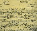 Grace Astle - Original Birth Certificate