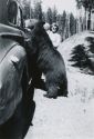 Grace and daughter in Yellowstone NP