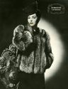 Silver Fox Fur Advertisement Silver Fox Fur Advertisement