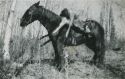 Seth Frank - Deer Hunting Seth Frank - Deer Hunting